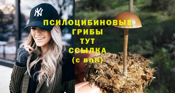 таблы Михайловск