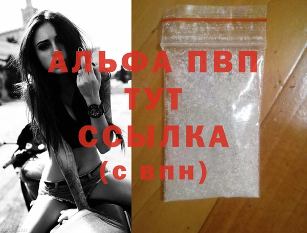 СК Медвежьегорск