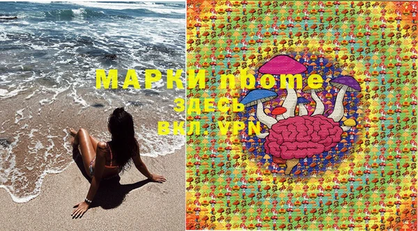 spice Михайловка