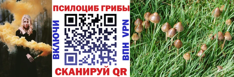 Галлюциногенные грибы MAGIC MUSHROOMS  где купить наркотик  Нариманов 